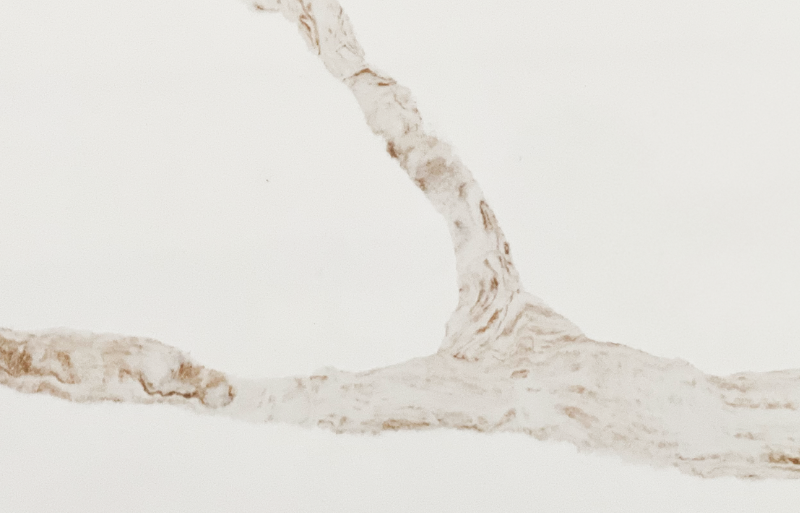 Calacatta Michelo Gold LQ-915