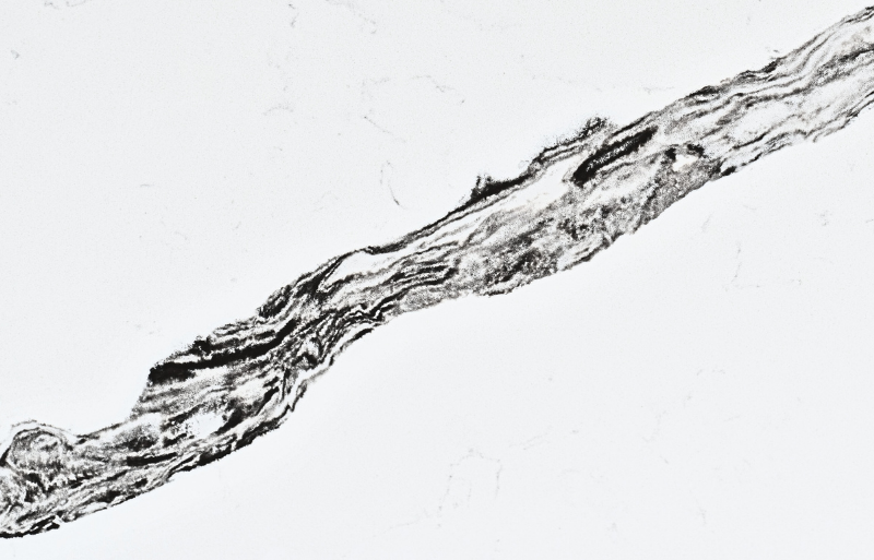 Calacatta Corrente LQ-841