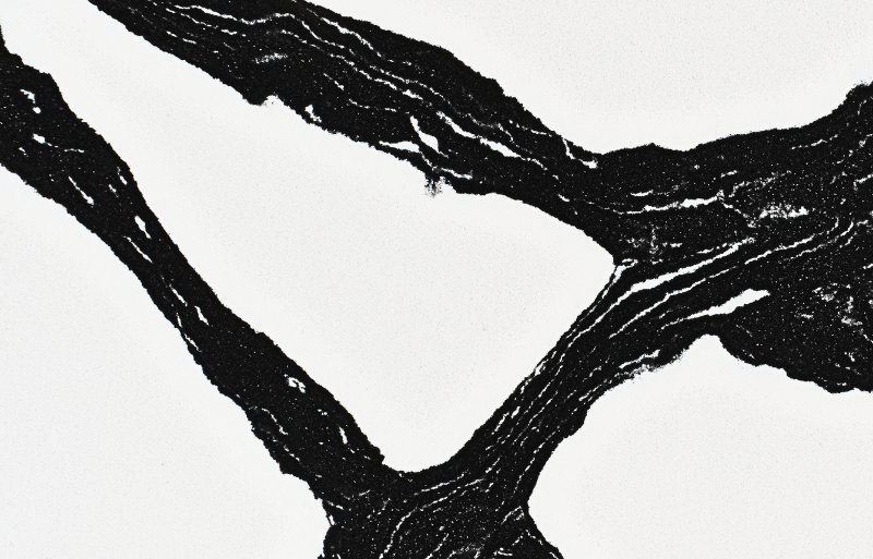 Calacatta Audace LQ-945