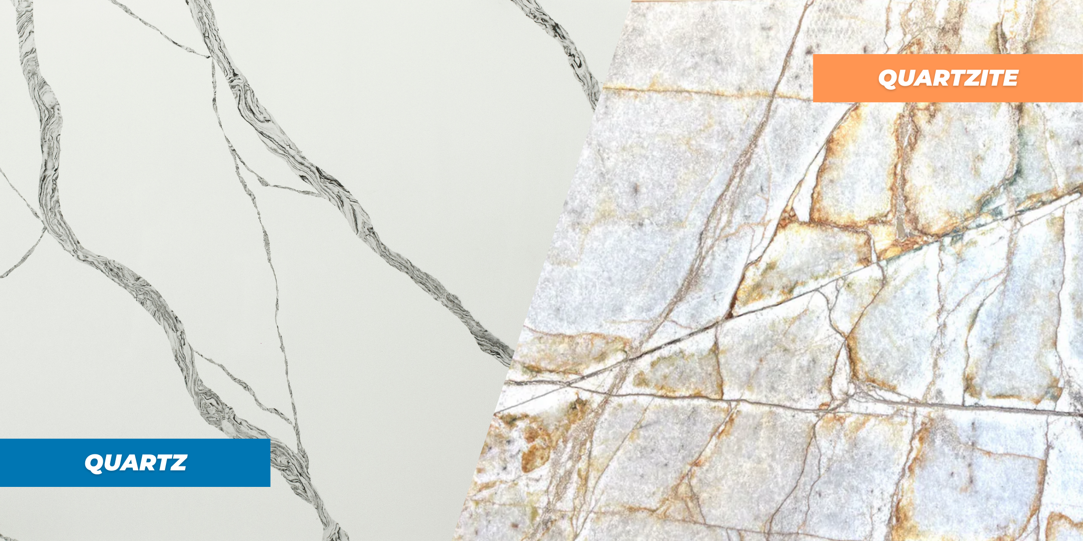 color and pattern differences