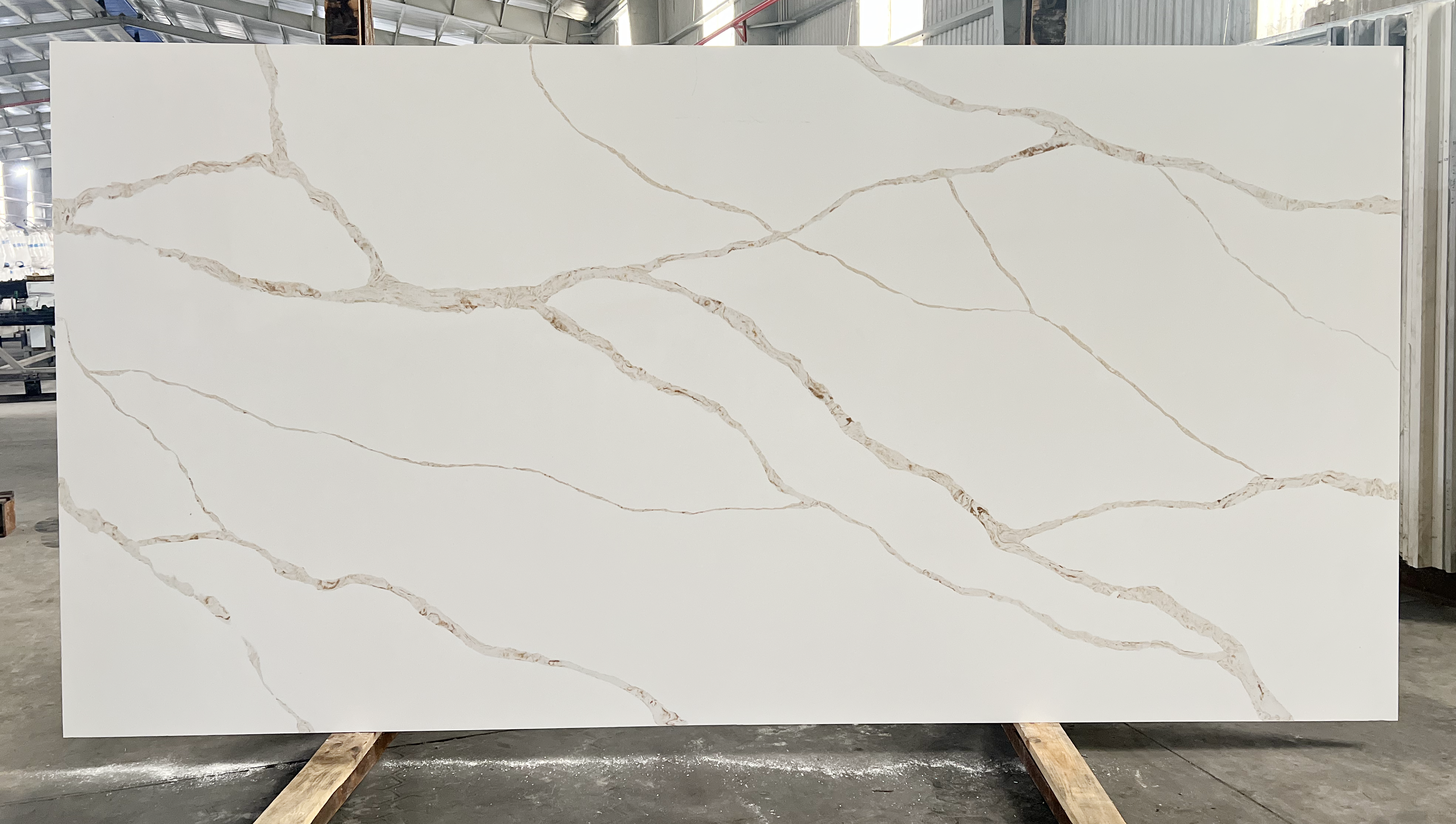 calacatta gold quartz countertops